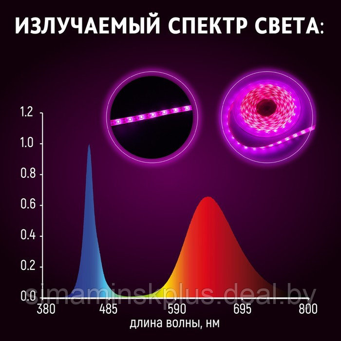 ECOTEC Фитолента светодиодная в катушке, с самоклеящимся слоем для парника "Маргарита", 9 Вт, красн - фото 6 - id-p224535417