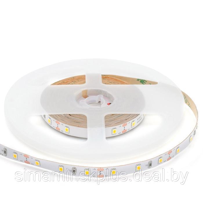 Светодиодная лента Apeyron Electrics 5 м, IP20, SMD3528, 60 LED/м, 4.8 Вт/м, 12 В, 6500К - фото 2 - id-p224535439