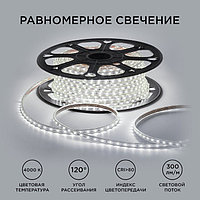 Светодиодная лента Apeyron 220В, SMD2835, 10x7 мм, 50 м, IP65, 5Вт/м, 60 LED/м, 4000К