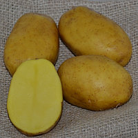 Картофель Пароли