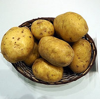 Картофель Миа