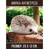 Хренобус ежик мягкая игрушка антистресс