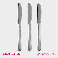 Набор ножей десертных из нержавеющей стали Доляна, h=20,5 см, толщина рабочей части 2,2 мм, толщина ручки 5