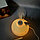 Увлажнитель (аромадиффузор) воздуха Птичка Onion Humidifier с функцией ночника300ml, фото 5