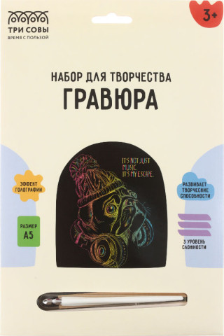 Набор для творчества «Гравюра. Три совы» А5 «Меломан», с голографическим эффектом - фото 1 - id-p224560461