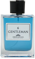 Туалетная вода Parfums Constantine Gentleman 6