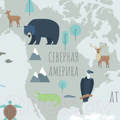 Фотообои листовые Citydecor Карта мира на русском 10 - фото 2 - id-p224570722
