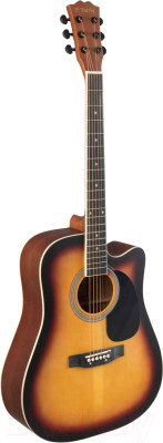 Акустическая гитара Terris TD-045 SB Starter Pack - фото 1 - id-p224595447