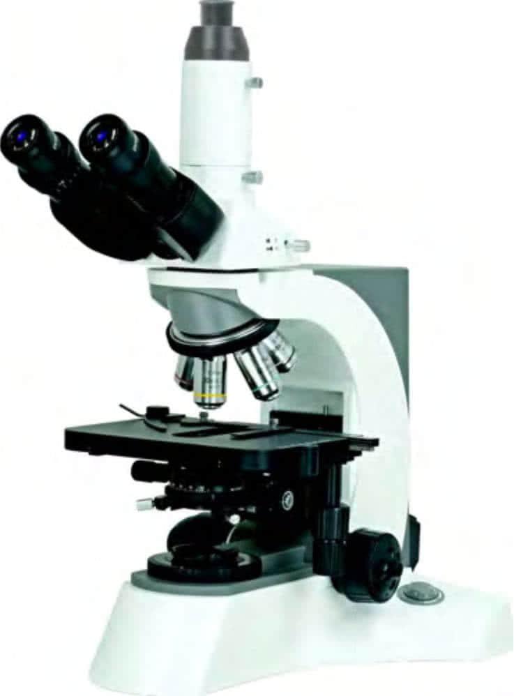 Микроскопы биологические BS-2080 BestScope - фото 1 - id-p224649861