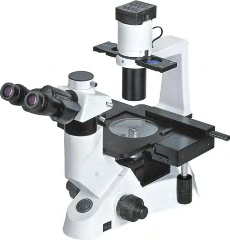 Микроскоп биологический инвертированный BS-2090 BestScope - фото 1 - id-p224649862