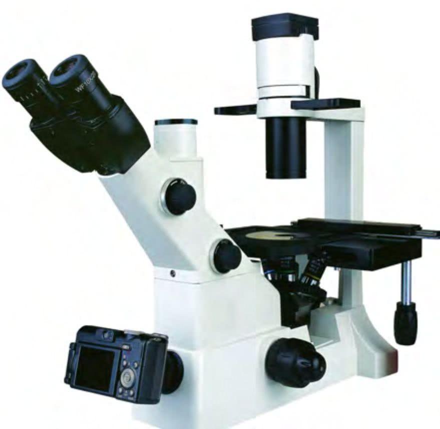 Микроскоп биологический инвертированный BS-2092 BestScope - фото 1 - id-p224649863