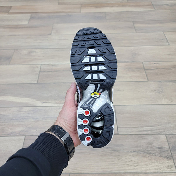 Nike Air Max Plus X Dior