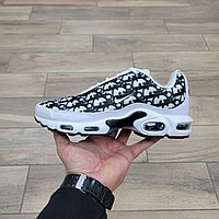 Кроссовки Nike Air Max Plus X Dior 41