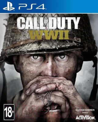 Игра для игровой консоли PlayStation 4 Call of Duty: WWII - фото 1 - id-p224674851