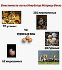 Инкубатор Матрица ВЕГАС 90 яиц, фото 9