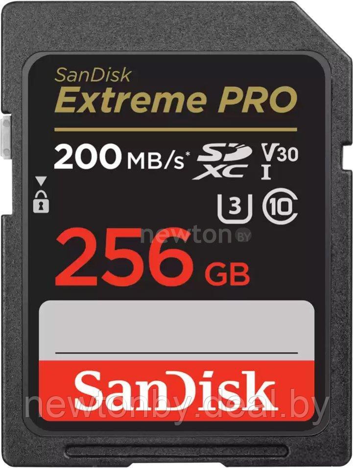 Карта памяти SanDisk Extreme PRO SDXC SDSDXXD-256G-GN4IN 256GB - фото 1 - id-p224696101