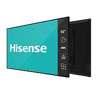 Дисплей Hisense 55DM66D