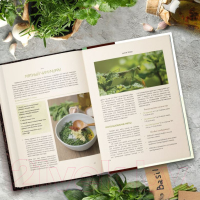 Книга Эксмо Дикие травы: как найти целебные продукты - фото 8 - id-p224716271