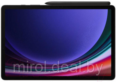 Планшет Samsung Galaxy Tab S9 LTE 8GB/128GB / SM-X716 - фото 3 - id-p224737513