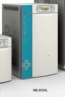 CO2-инкубатор NB-203XL N-Biotek - фото 1 - id-p224738247