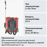 Опрыскиватель аккумуляторный УМНИЦА Comfort ЭОЭЛ-12 Li-ion, фото 4