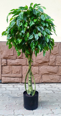 Искусственное растение ForGarden Дерево Ficus / FGN BF01693 - фото 1 - id-p224766331