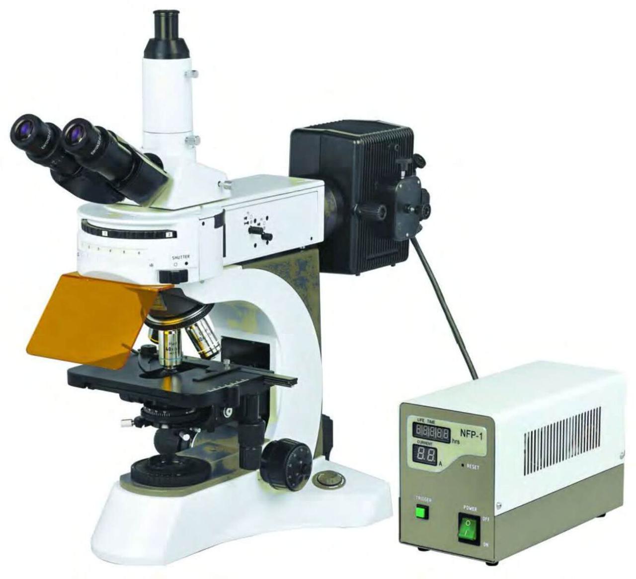 Микроскоп бинокулярный флуоресцентный BS 7000А BestScope - фото 1 - id-p224774586