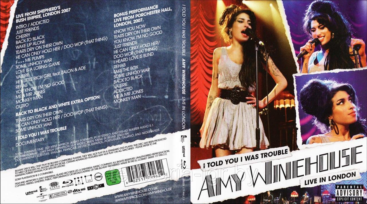 Amy winehouse I told you I was trouble