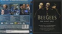 Beegees - One night only