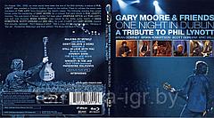 Gary moore and friends One night in dublin