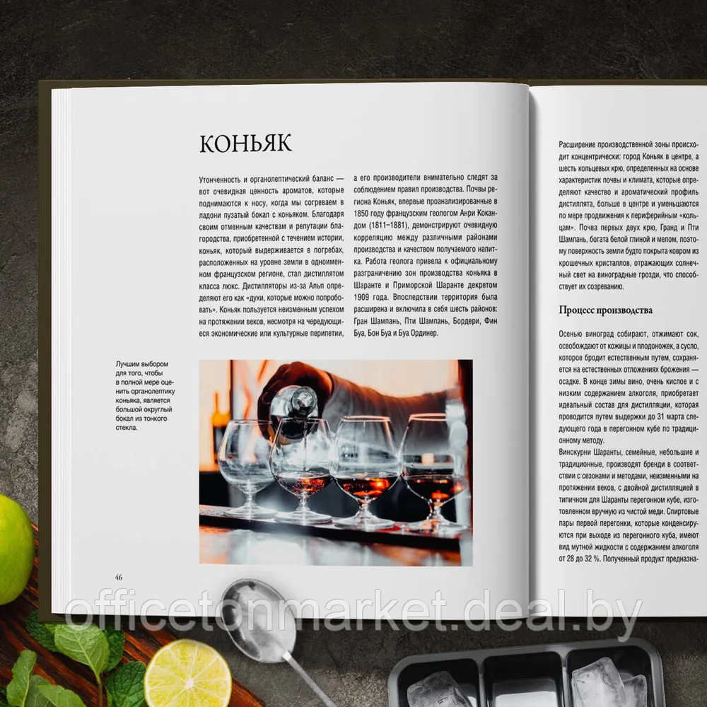 Книга "Руководство бармена. История, техники, рецепты", Габриэлла Байгера, Умберто Каселли - фото 5 - id-p224783641