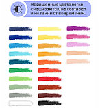 Пастель масляная Гамма "Студия", 25 цветов, картон. упак., фото 2