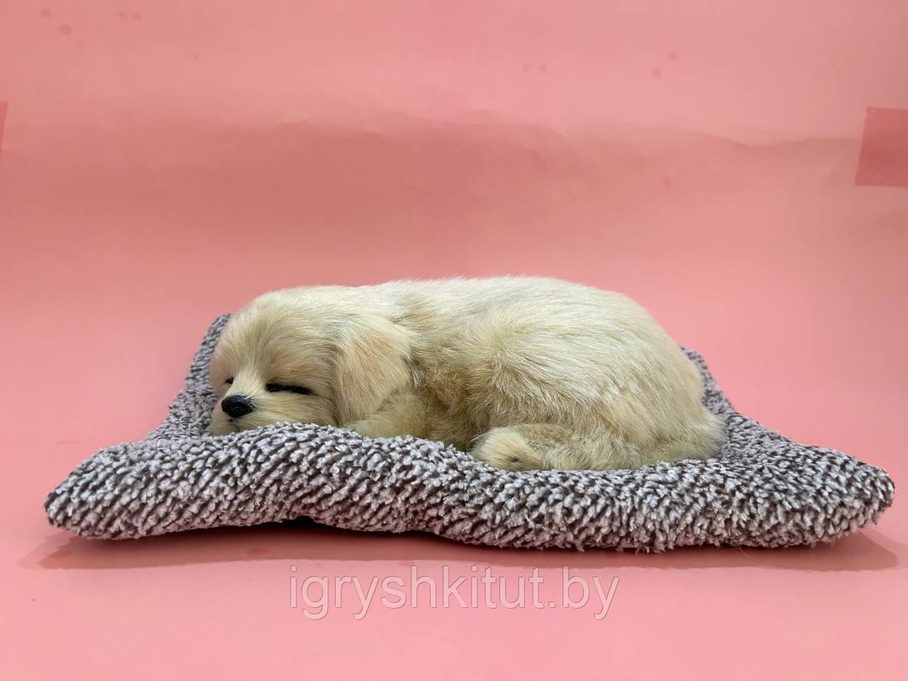 Игрушка Спящий щенок на подушке - фото 1 - id-p218319312