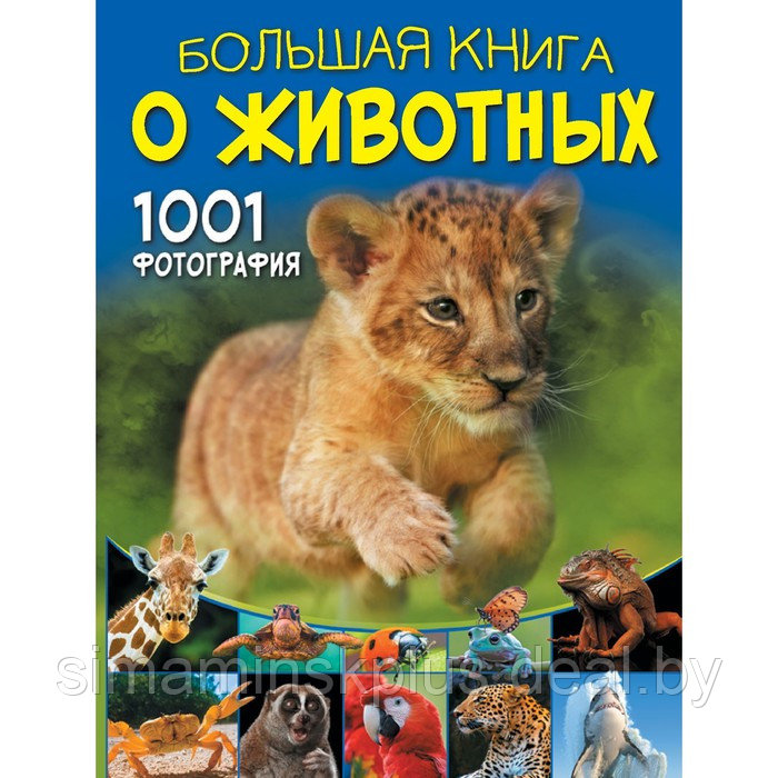 Большая книга о животных. 1001 фотография. Ермакович Д. И. - фото 1 - id-p224814079