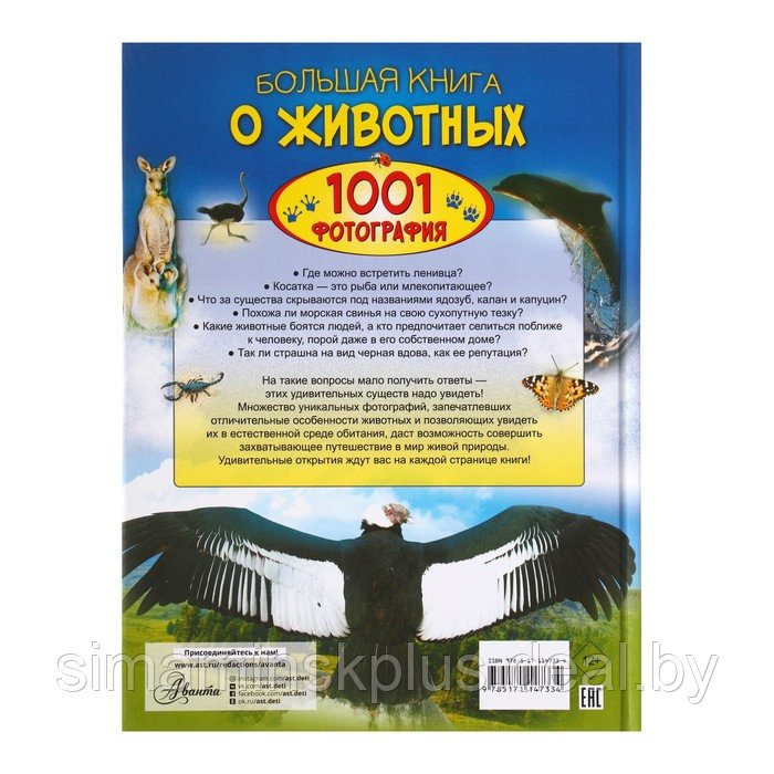 Большая книга о животных. 1001 фотография. Ермакович Д. И. - фото 8 - id-p224814079
