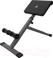 Гиперэкстензия DFC Homegym SJ1006G