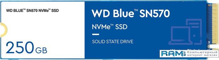 SSD WD Blue SN570 250GB WDS250G3B0C - фото 1 - id-p224817588