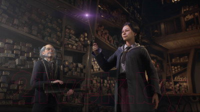 Игра для игровой консоли PlayStation 5 Hogwarts Legacy - фото 7 - id-p224819678