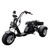 Электроскутер CityCoCo TRIKE GT M7 6000W