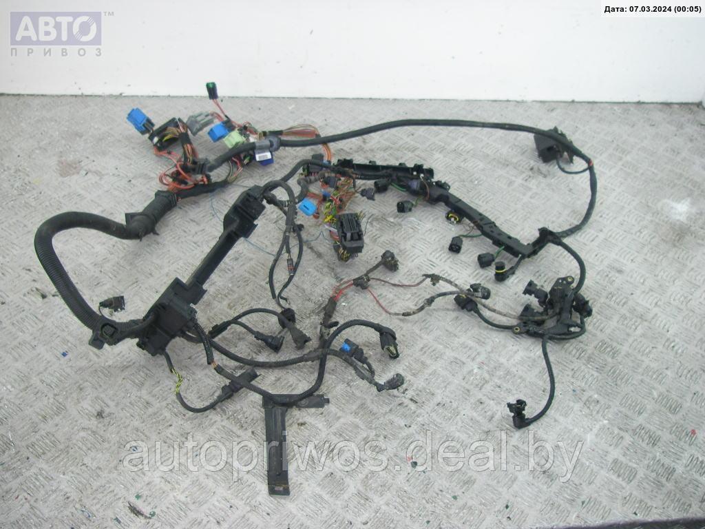 Проводка двигателя BMW 3 E46 (1998-2006) - фото 1 - id-p224559548