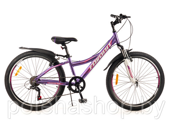 Двухколесный велосипед «FAVORIT» модель: DISCOVERY-24VA, DIS24V11VL-AL, фото 2