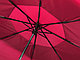 Зонт складной «Canopy» с большим двойным куполом (d126 см) Красный, фото 6