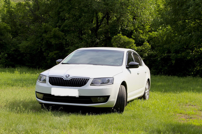 Skoda Octavia, фото 2