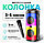 ZQS-4248 Акустическая колонка напольная Bluetooth, микрофон, фото 2