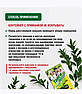 Ловушка гель от тараканов 6 штук / Приманка с гелем, профессиональный инсектицид. Тайга, фото 4