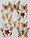 Бабочка для декора и флористики ассорти (цена за 1 шт.), фото 3