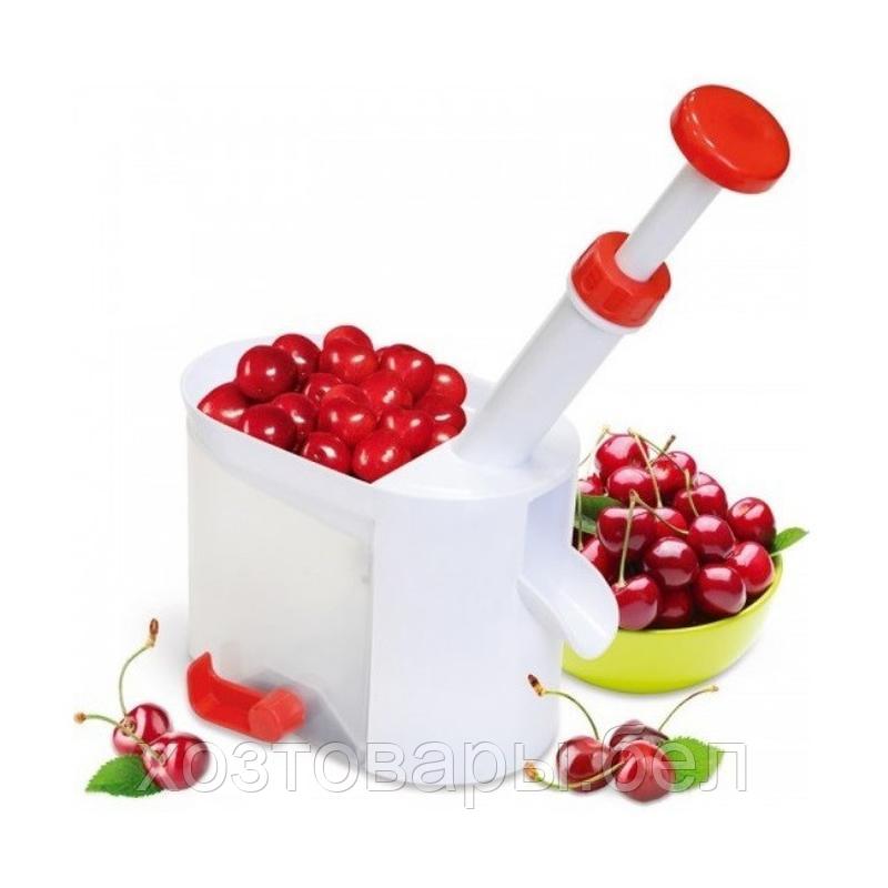 Косточковыдавливатель для вишни, черешни, винограда и оливок Y527