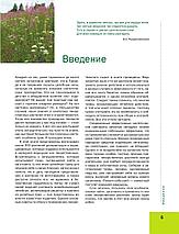 Большая иллюстрированная энциклопедия лекарственных растений, фото 3