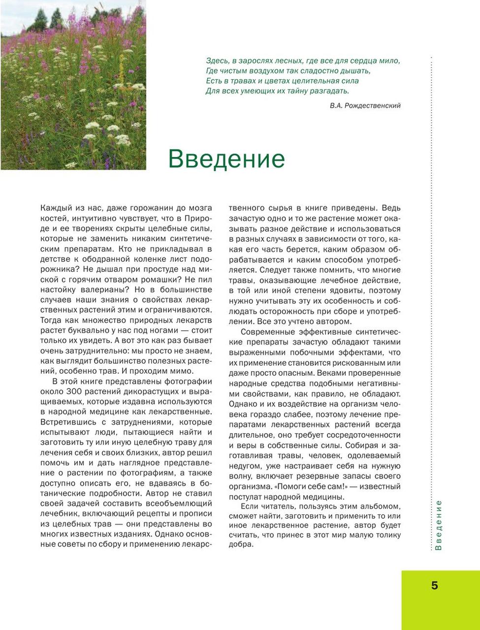 Большая иллюстрированная энциклопедия лекарственных растений - фото 5 - id-p224880764