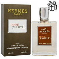 Hermes Terre D'Hermes | Extrait de Parfum 100 ml